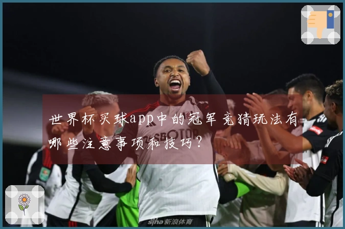 世界杯买球app中的冠军竞猜玩法有哪些注意事项和技巧？
