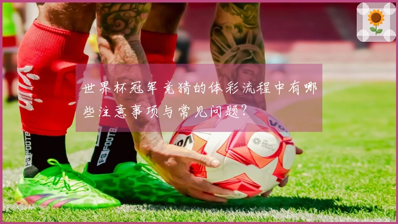 世界杯冠军竞猜的体彩流程中有哪些注意事项与常见问题？