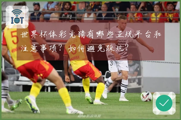 世界杯体彩竞猜有哪些正规平台和注意事项？如何避免踩坑？