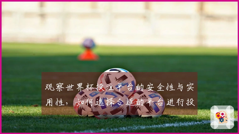 观察世界杯投注平台的安全性与实用性，如何选择合适的平台进行投注？
