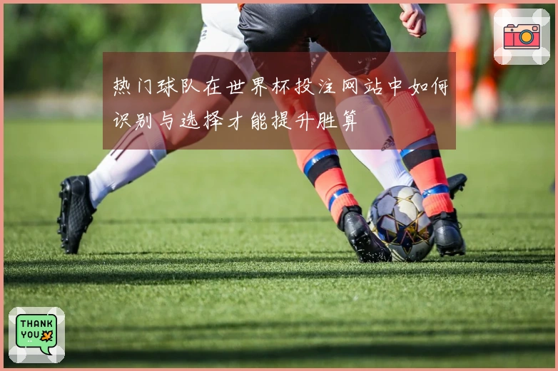 热门球队在世界杯投注网站中如何识别与选择才能提升胜算