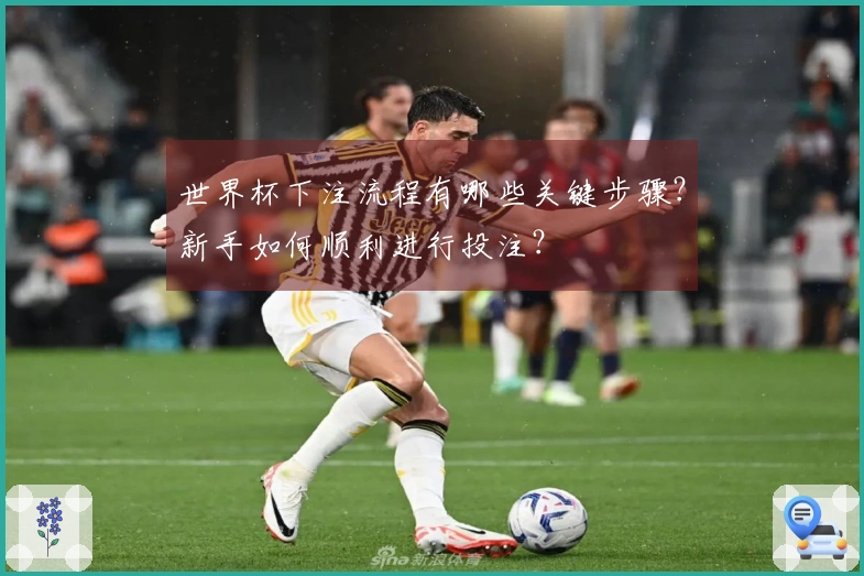 世界杯下注流程有哪些关键步骤？新手如何顺利进行投注？