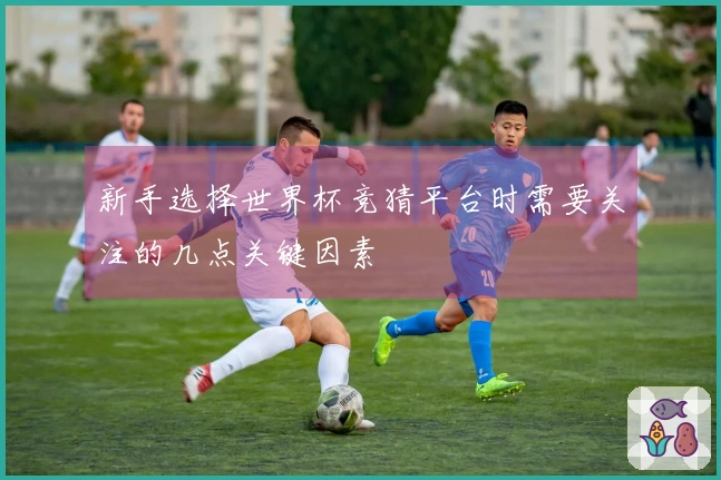 新手选择世界杯竞猜平台时需要关注的几点关键因素