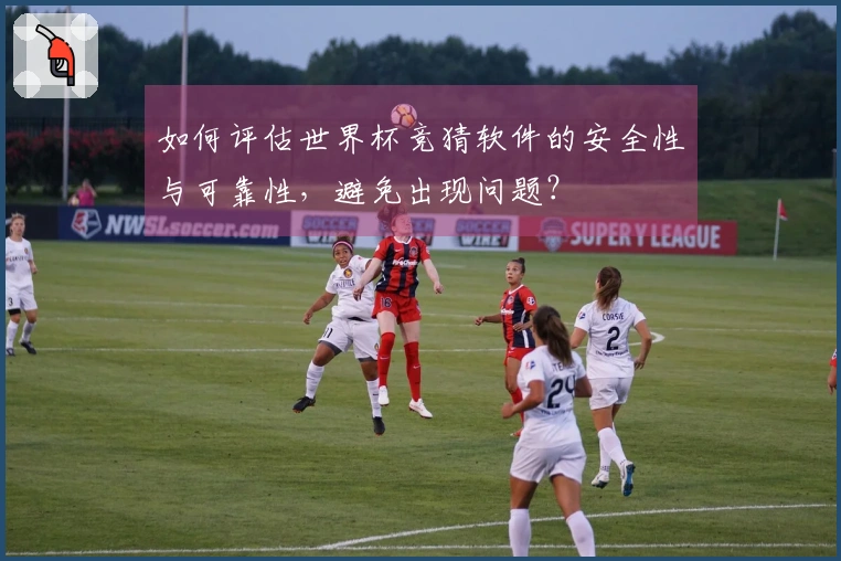 如何评估世界杯竞猜软件的安全性与可靠性，避免出现问题？