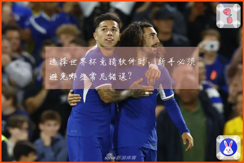 选择世界杯竞猜软件时,新手必须避免哪些常见错误?