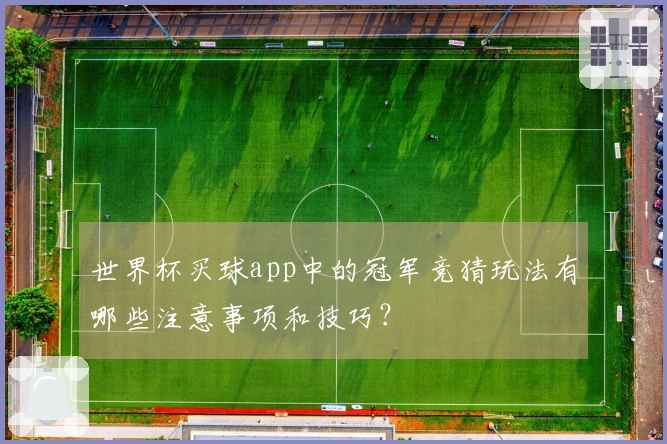 世界杯买球app中的冠军竞猜玩法有哪些注意事项和技巧?