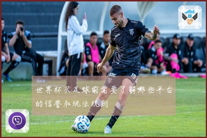 世界杯买足球前需要了解哪些平台的信誉和玩法规则