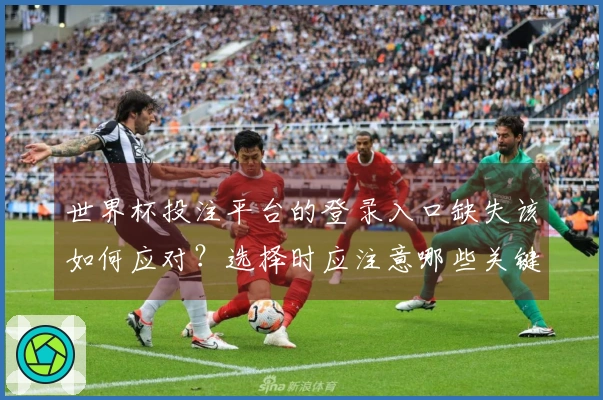 世界杯投注平台的登录入口缺失该如何应对?选择时应注意哪些关键因素?