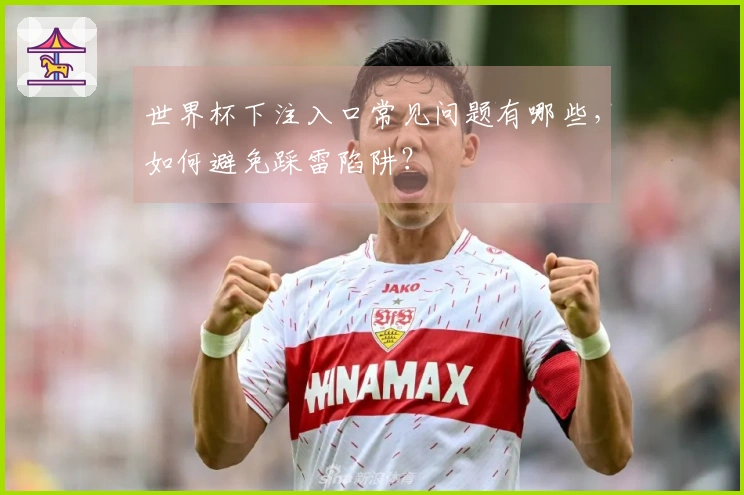 世界杯下注入口常见问题有哪些，如何避免踩雷陷阱？