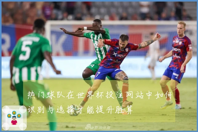 热门球队在世界杯投注网站中如何识别与选择才能提升胜算