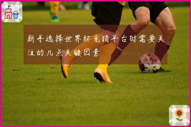 新手选择世界杯竞猜平台时需要关注的几点关键因素