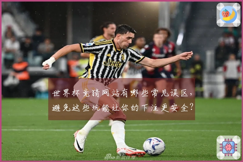 世界杯竞猜网站有哪些常见误区，避免这些坑能让你的下注更安全？