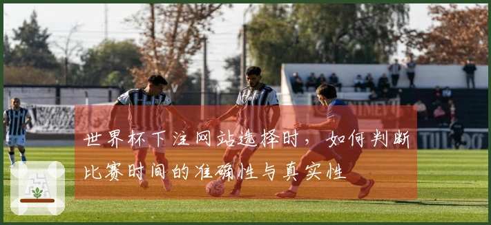 世界杯下注网站选择时，如何判断比赛时间的准确性与真实性
