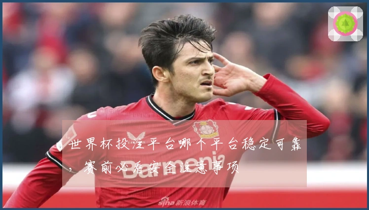 世界杯投注平台哪个平台稳定可靠，赛前必看安全注意事项
