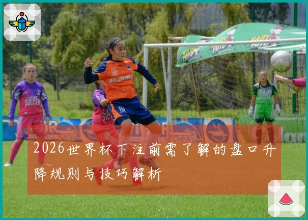 2026世界杯下注前需了解的盘口升降规则与技巧解析