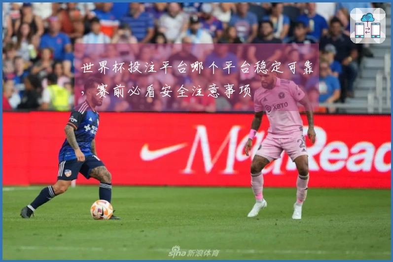 世界杯投注平台哪个平台稳定可靠,赛前必看安全注意事项