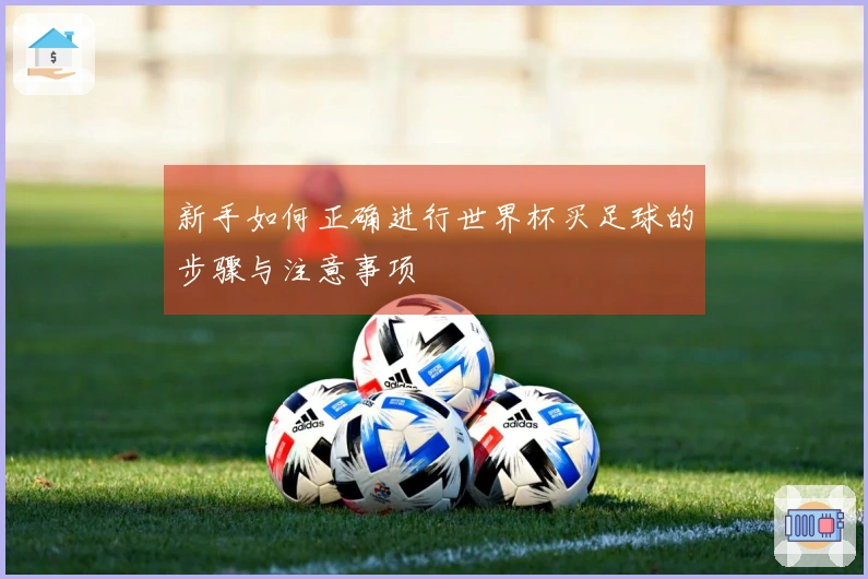 新手如何正确进行世界杯买足球的步骤与注意事项