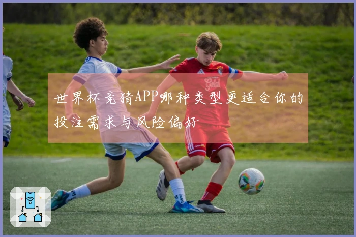 世界杯竞猜APP哪种类型更适合你的投注需求与风险偏好